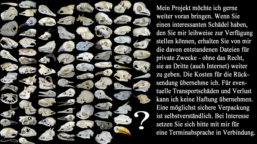 Sch&auml;delsuche